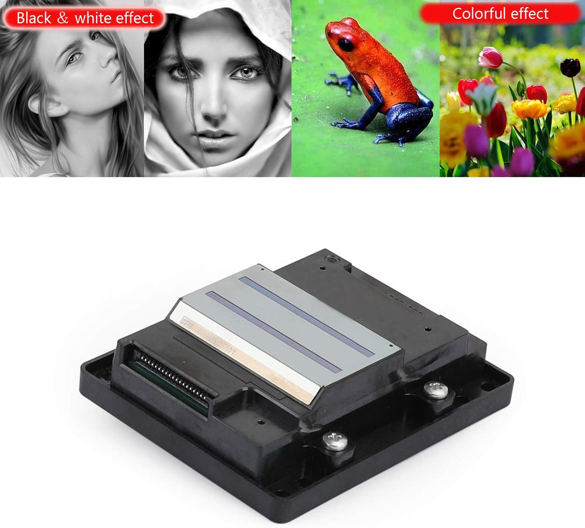 Printhead Fit for Epson WF7610 WF7620 WF7611 WF7111 WF7621 WF3641 WF7710